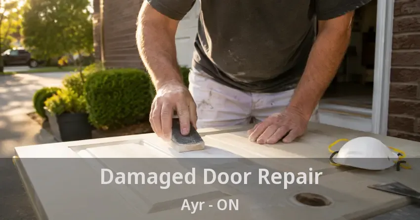 Damaged Door Repair Ayr - ON