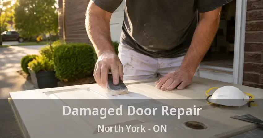 Damaged Door Repair North York - ON