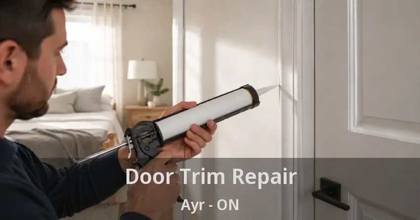 Door Trim Repair Ayr - ON