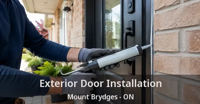 Exterior Door Installation Mount Brydges - ON