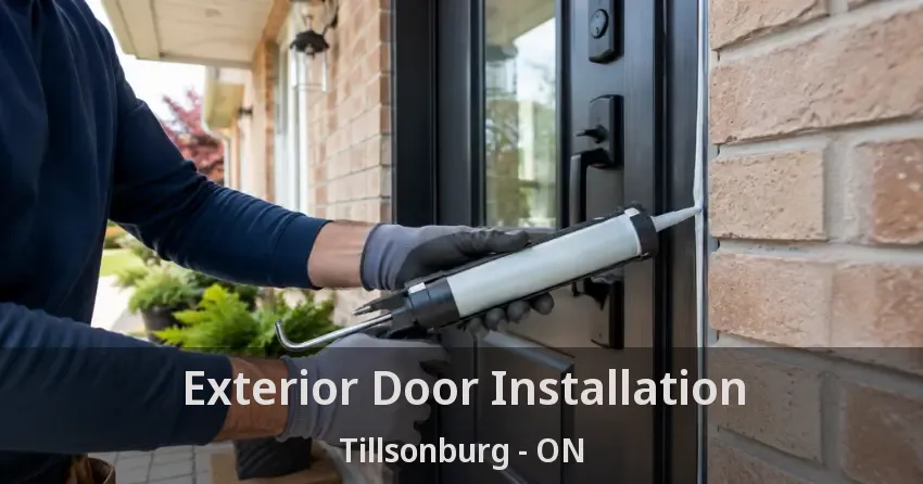 Exterior Door Installation Tillsonburg - ON