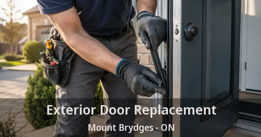 Exterior Door Replacement Mount Brydges - ON