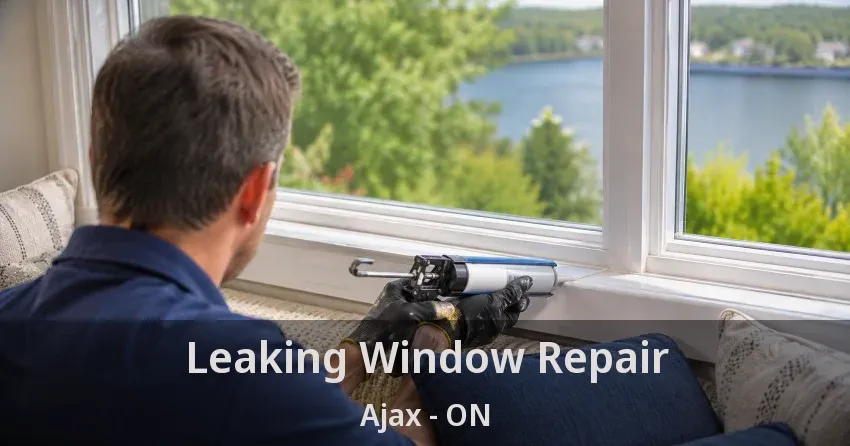 Leaking Window Repair Ajax - ON