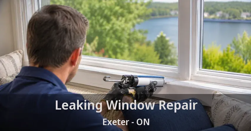 Leaking Window Repair Exeter - ON
