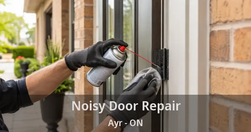 Noisy Door Repair Ayr - ON