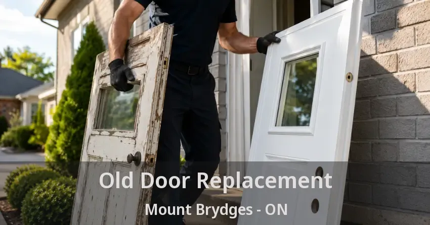 Old Door Replacement Mount Brydges - ON