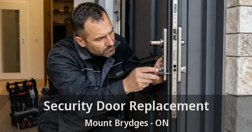 Security Door Replacement Mount Brydges - ON