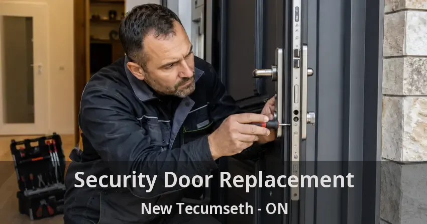 Security Door Replacement New Tecumseth - ON