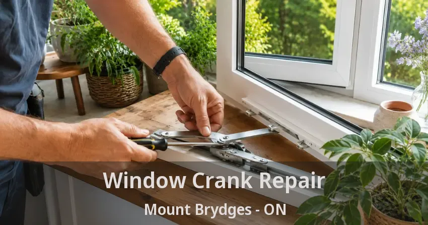 Window Crank Repair Mount Brydges - ON