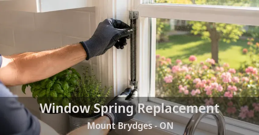 Window Spring Replacement Mount Brydges - ON