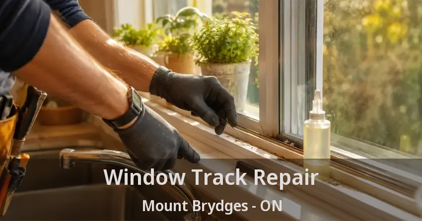 Window Track Repair Mount Brydges - ON