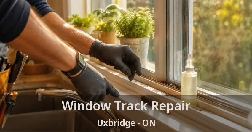 Window Track Repair Uxbridge - ON